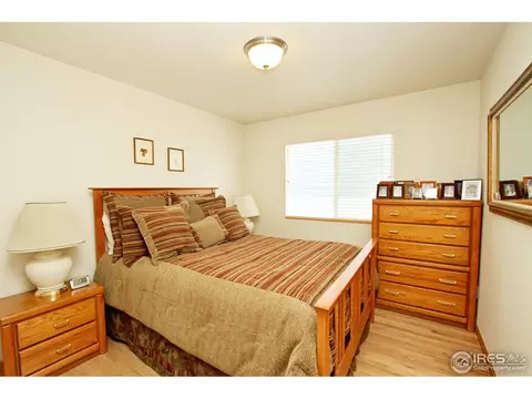 388 Sorrel Dr, Windsor, CO 80550 photo 18