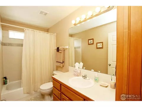 388 Sorrel Dr, Windsor, CO 80550 photo 17