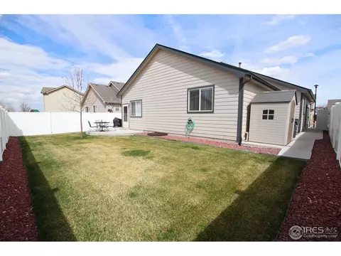 388 Sorrel Dr, Windsor, CO 80550 photo 24