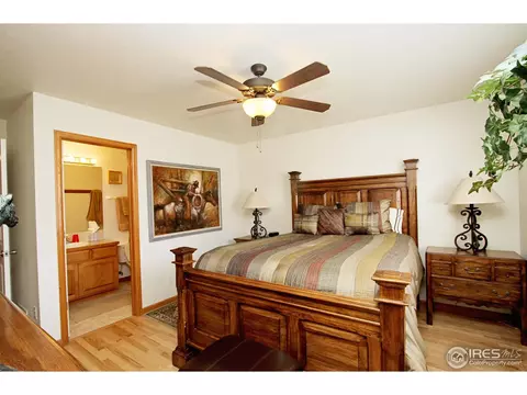 388 Sorrel Dr, Windsor, CO 80550 photo 14