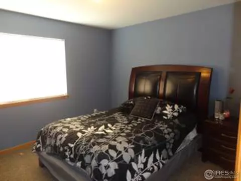 600 1st St, Windsor, CO 80550 photo 6