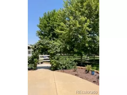 9150 Ferncrest St, Longmont, CO 80504 photo 32