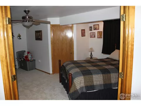 310 Slate Ct, Windsor, CO 80550 photo 10
