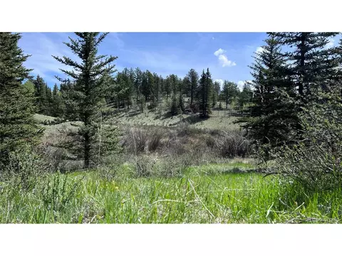79 Trout Creek Cir, Divide, CO 80814