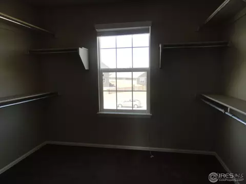 1557 Windshire Dr, Windsor, CO 80550 photo 9