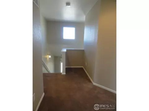 1557 Windshire Dr, Windsor, CO 80550 photo 13