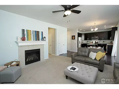 3331 E 140th Pl, Thornton, CO 80602 photo 15