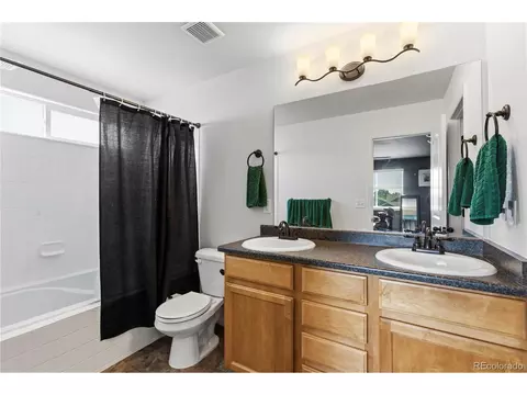 Bath - 446 Ptarmigan St, Severance, CO 80550 photo 3 of 5