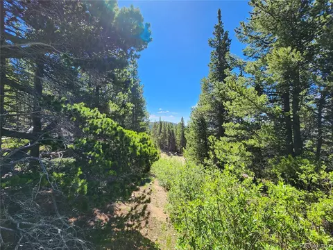lot883 Lincoln Dr, Idaho Springs, CO 80452