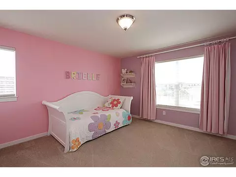 2525 E 141st Pl, Thornton, CO 80602 photo 23