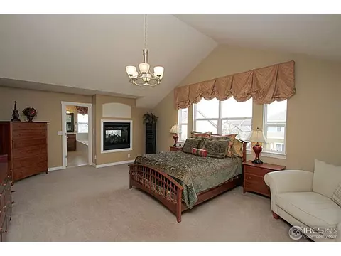 2525 E 141st Pl, Thornton, CO 80602 photo 17