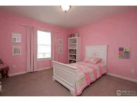 2525 E 141st Pl, Thornton, CO 80602 photo 21