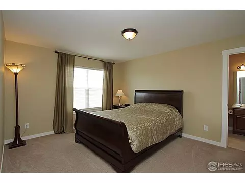 2525 E 141st Pl, Thornton, CO 80602 photo 24