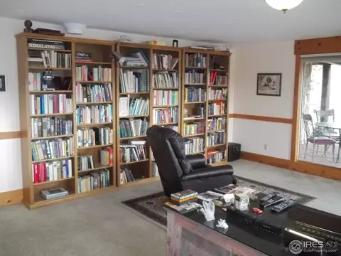 6065 Obenchain Rd, Laporte, CO 80535 photo 19