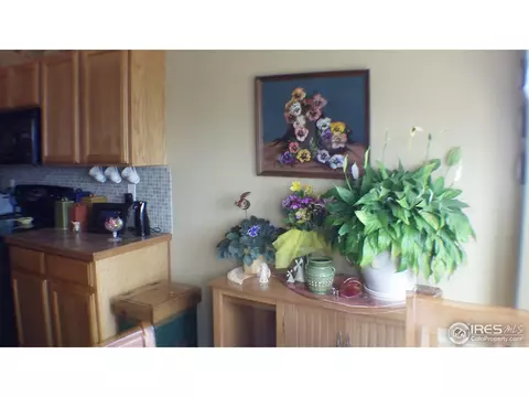532 E 29th St Dr, Greeley, CO 80631 photo 9