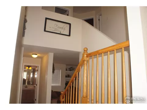 914 Conifer Ct, Windsor, CO 80550 photo 14