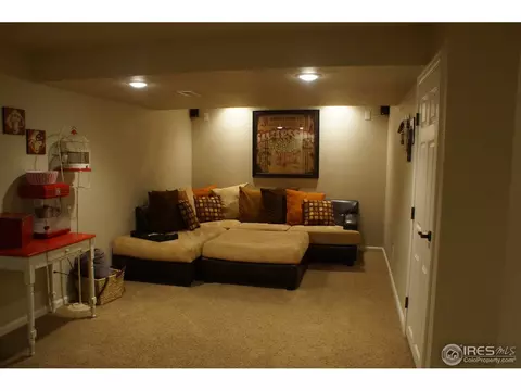 914 Conifer Ct, Windsor, CO 80550 photo 15