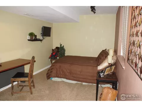 914 Conifer Ct, Windsor, CO 80550 photo 17