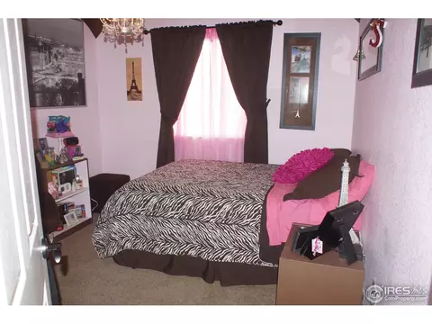914 Conifer Ct, Windsor, CO 80550 photo 12