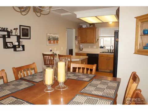 914 Conifer Ct, Windsor, CO 80550 photo 5