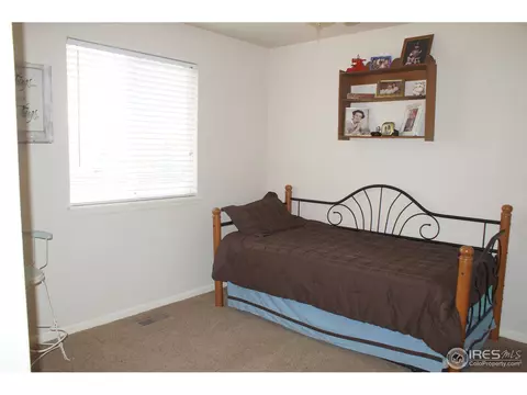 914 Conifer Ct, Windsor, CO 80550 photo 13