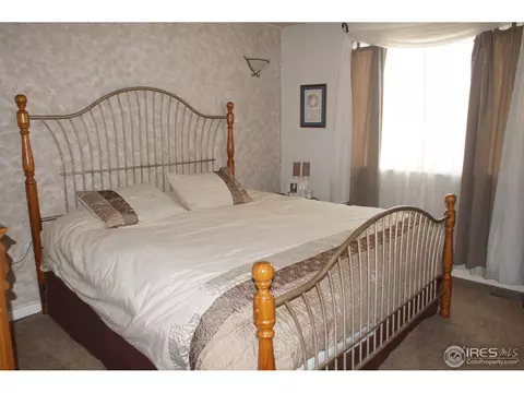 914 Conifer Ct, Windsor, CO 80550 photo 10