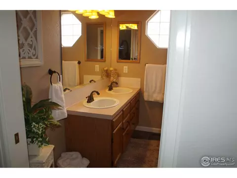 914 Conifer Ct, Windsor, CO 80550 photo 11