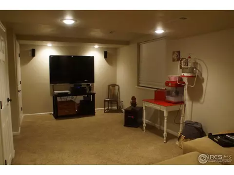 914 Conifer Ct, Windsor, CO 80550 photo 16