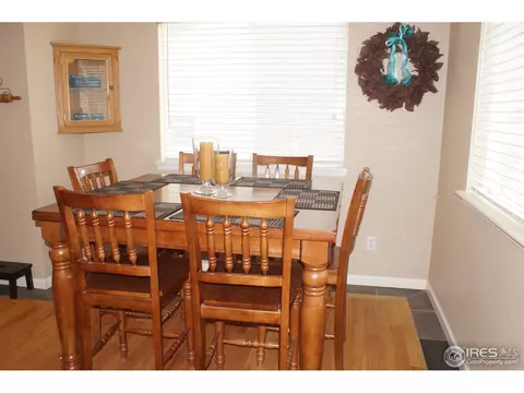 914 Conifer Ct, Windsor, CO 80550 photo 4