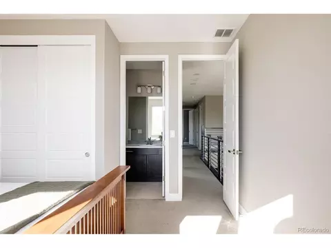 8691 E 54th Dr, Denver, CO 80238 photo 19