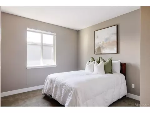 8691 E 54th Dr, Denver, CO 80238 photo 21