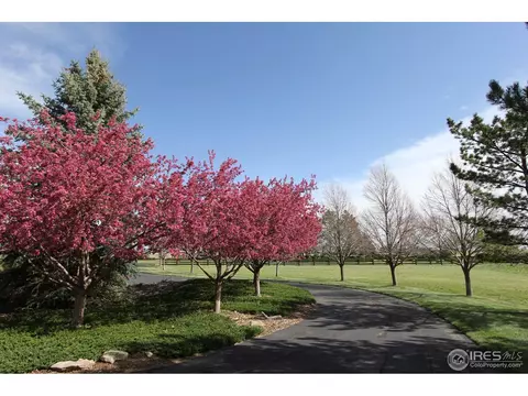 9420 Owl Ln, Boulder, CO 80301 photo 4