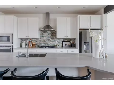 9965 E 59th Ave, Denver, CO 80238 photo 10