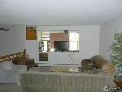 3504 Galway Dr, Laporte, CO 80535 photo 3