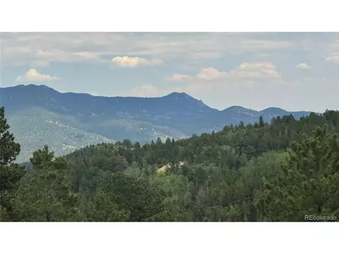 3 Church Placer Rd, Central City, CO 80427