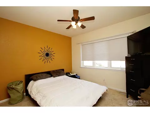 908 Lookout Ct, Windsor, CO 80550 photo 13
