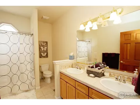 908 Lookout Ct, Windsor, CO 80550 photo 12