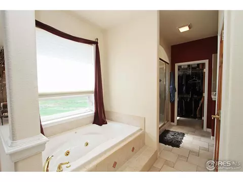 908 Lookout Ct, Windsor, CO 80550 photo 11