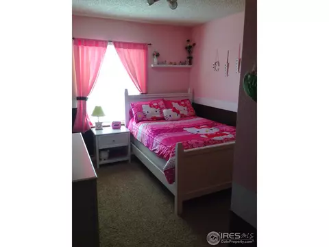 5595 E 130th Dr, Thornton, CO 80241 photo 11