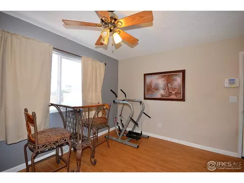 560 Sycamore Dr, Windsor, CO 80550 photo 7