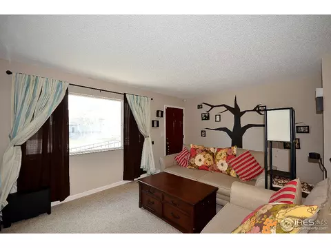 560 Sycamore Dr, Windsor, CO 80550 photo 6