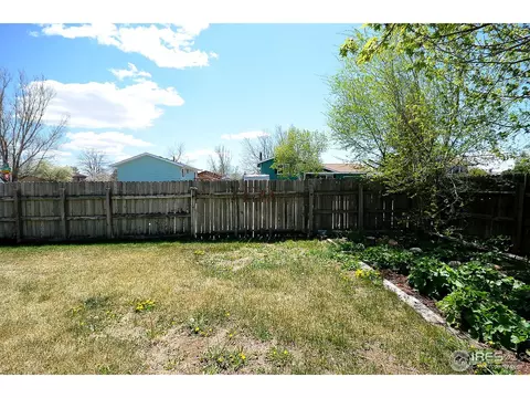 560 Sycamore Dr, Windsor, CO 80550 photo 20