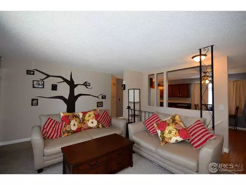 560 Sycamore Dr, Windsor, CO 80550 photo 5