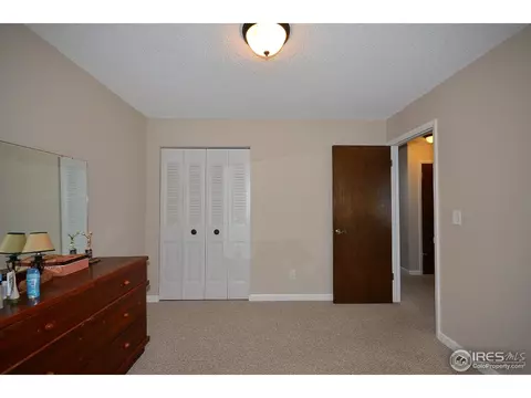 560 Sycamore Dr, Windsor, CO 80550 photo 13