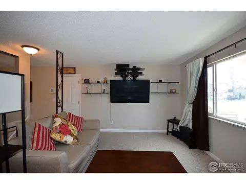 560 Sycamore Dr, Windsor, CO 80550 photo 4
