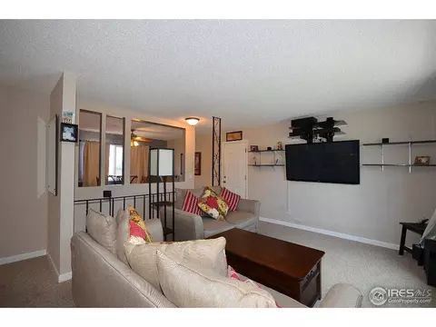 560 Sycamore Dr, Windsor, CO 80550 photo 3