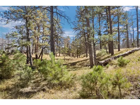14 W Ridge Rd, Ramah, CO 80832 photo 19