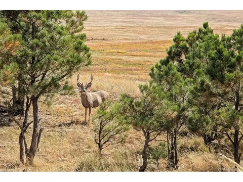 14 W Ridge Rd, Ramah, CO 80832 photo 11