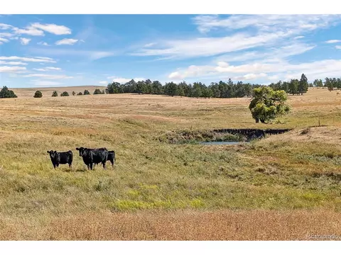 14 W Ridge Rd, Ramah, CO 80832 photo 14
