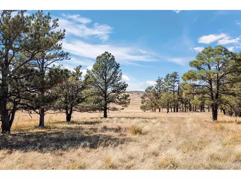 14 W Ridge Rd, Ramah, CO 80832 photo 20